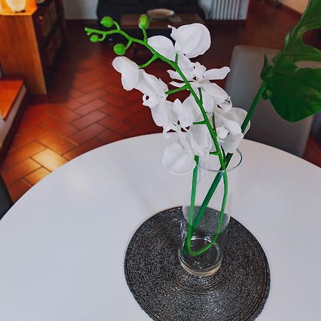 Apartament Borgo Pinti 49 Florencja Zewnętrze zdjęcie