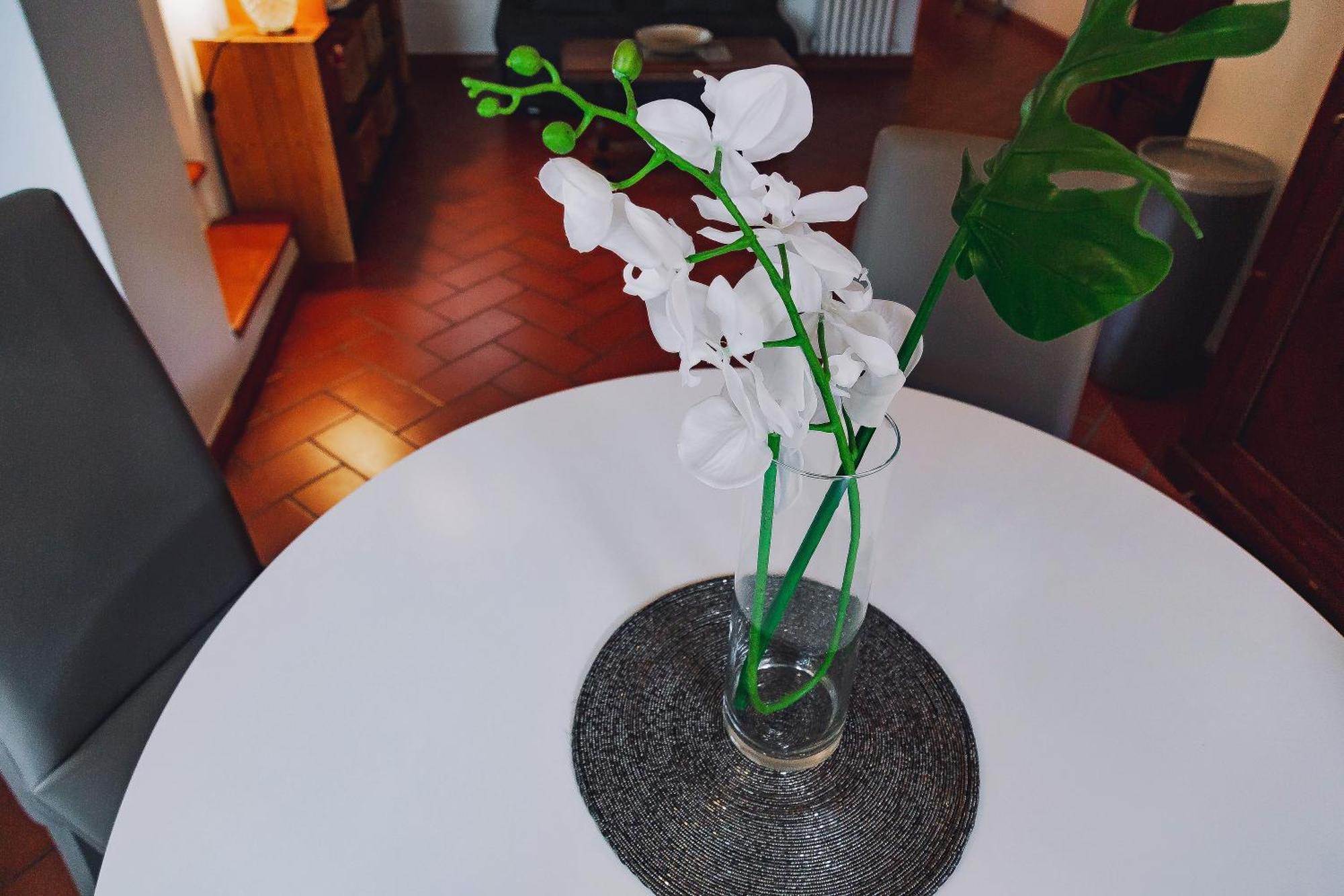 Apartament Borgo Pinti 49 Florencja Zewnętrze zdjęcie